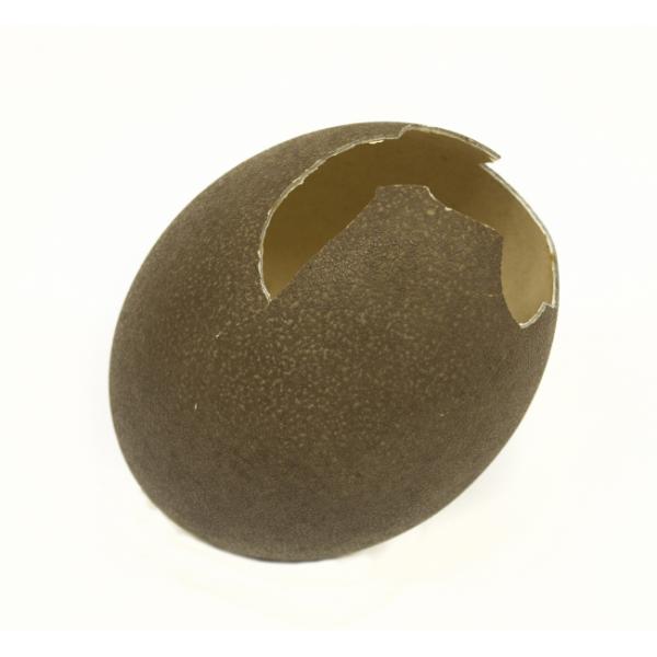 An emu egg tilted to the side. It is brown with light brown speckles. A piece of the top has broken and is missing.