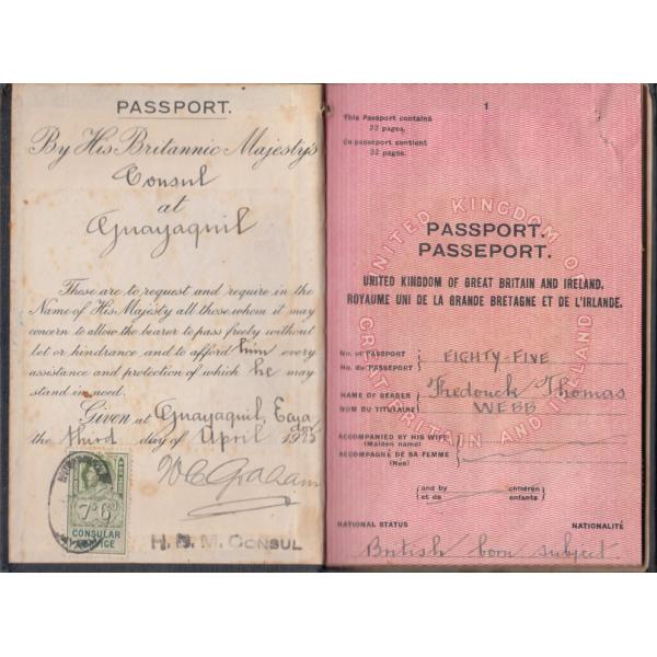 The inside cover of a passport. The first page is yellow and the second is pink. There is typed information on both pages and information filled in with ink. There is a green stamp of the first page covered with a black ink stamp.  