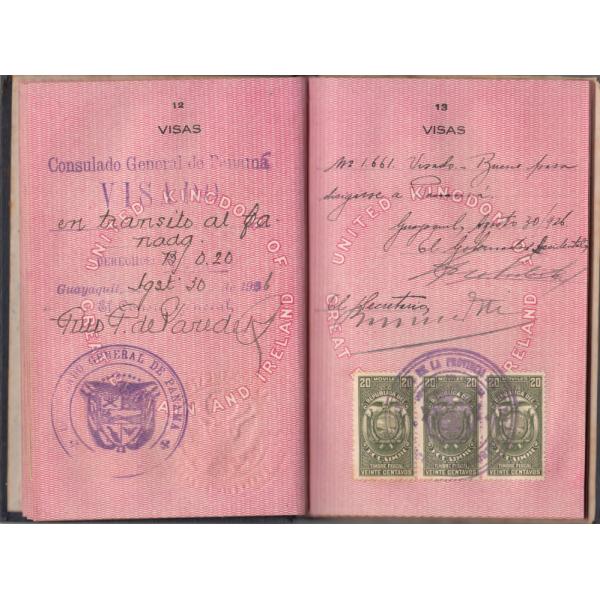 Deux tampons à l'encre bleue et trois timbres en papier vert avec des ajouts manuscrits sur des pages roses marquées « Visas » dans un passeport. 