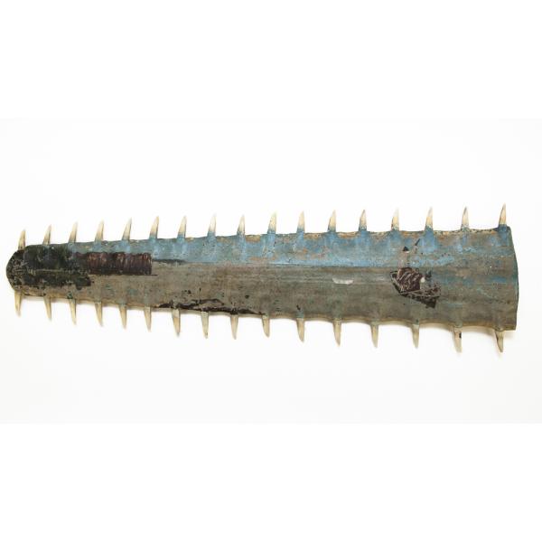 The painted side of a sawfish snout. It is blue and brown. It has thirty-three teeth along the edges. 