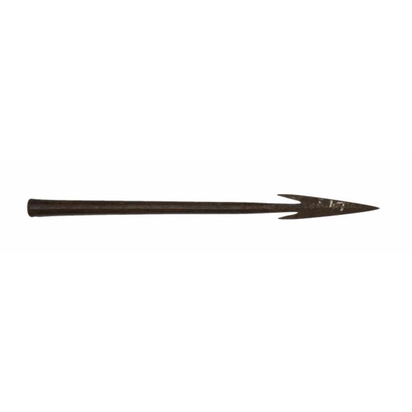 A dark metal spearhead with a long shaft. The point on the end is tapered and has notched corners.