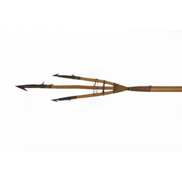 Three prongs on a wooden spearhead with metal tips. The metal spearheads have a single barb on the end and a smaller barb towards the shaft. The prongs are attached to the shaft with string.