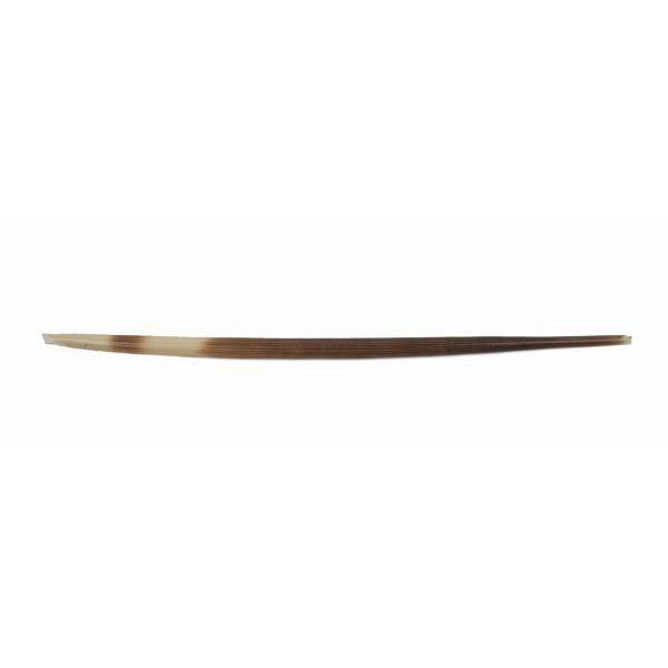 A porcupine quill that is slightly curved. It has alternating white and brown stripes.