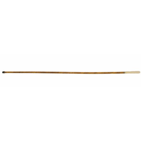 A bamboo walking stick with an ivory handle and a dark metal base. 