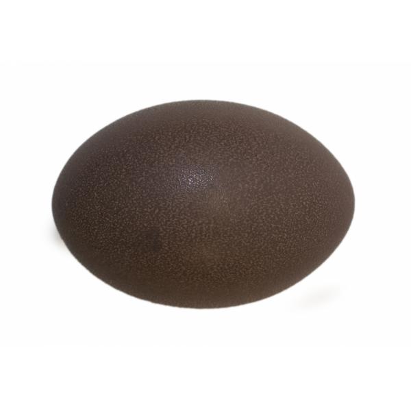 A mottled dark-brown emu egg resting on its side.