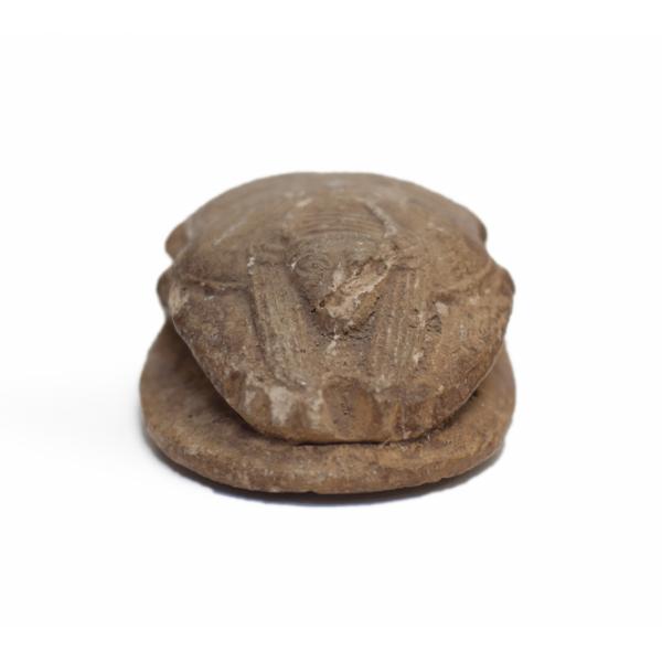 The front of a brown ceramic scarab. The head is visible and a face and headdress are carved into the figure. 