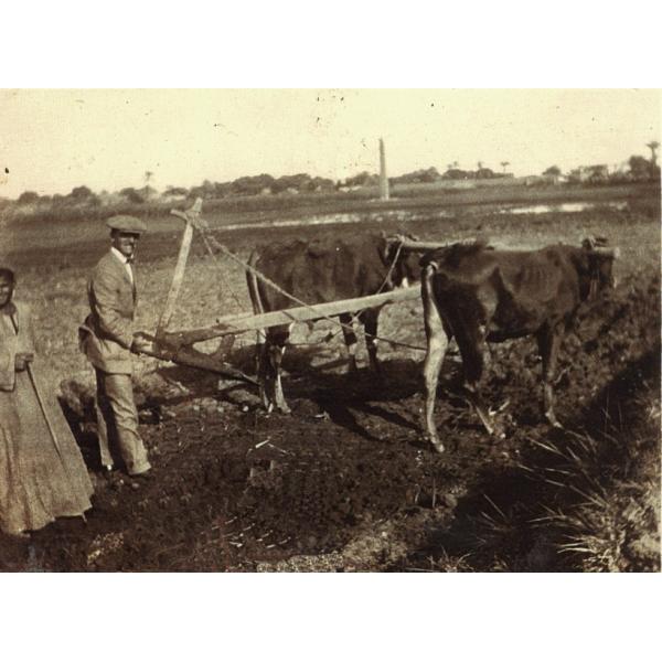 A photo of a man in a suit holding a wooden plow attached to two skinny cows. They are standing in a field. There is a man in a long robe standing behind him. 