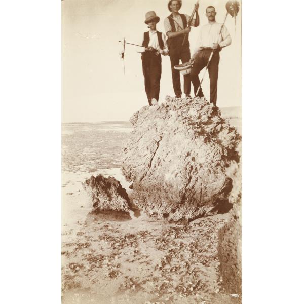 A photo of three men stand on top of a large rock. The man on the right is holding a fishing spear, the man in the middle a gun, and on the left a survey rod. The tide has gone out and mud can be seen under a shallow layer of water.
