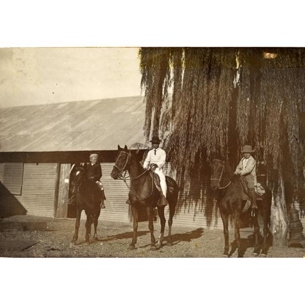 Une photo de deux garçons à cheval avec un homme au milieu, également à cheval. Il y a un bâtiment couvert d'un parement et d'une toiture en métal derrière eux, ainsi qu'un arbre avec de longues branches pendantes. 