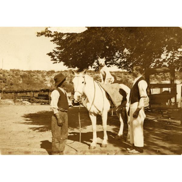 Une photo d'un chien blanc assis sur un cheval blanc. Un homme se tient de chaque côté du cheval. On aperçoit un arbre derrière eux et des collines en arrière-plan. 