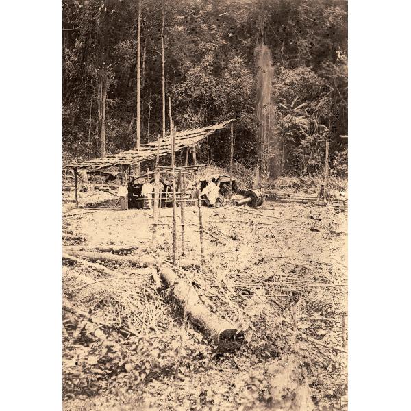 A photo of two workers stand in front of a well with a thatched roof over top of it. There is a log in the foreground and trees in the background. 