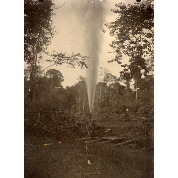 A photo of oil gushing out of a narrow pipe in a clearing. There are trees in the background.  