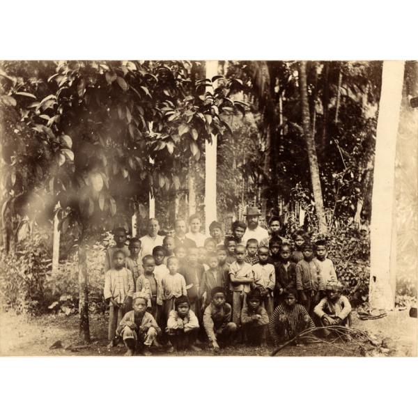 A photo of a group of school children with four adults in the back row. They are underneath a tree with large leaves and there are trees behind them.  