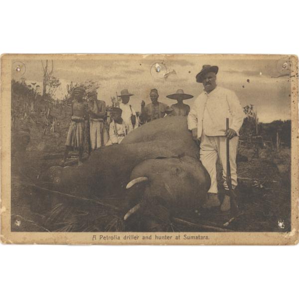 Le devant de la carte postale montre William McRae tenant un fusil avec un éléphant mort et six chasseurs locaux.   