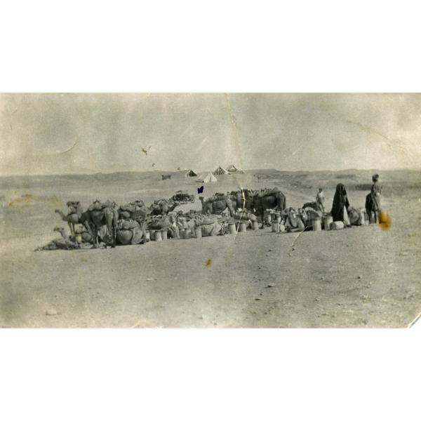 A group of camels in the desert with water cans by their sides. Three people stand to the right and there are four white tents in the background.