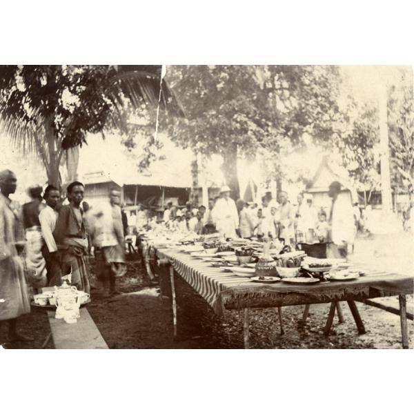 A photo of a group of people around a long table covered with a tablecloth, dishes, and food, underneath a tree with a building in behind. There are benches on either side.