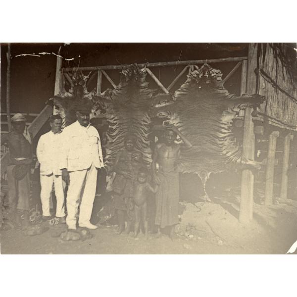 William McRae and another driller in white suits standing with a local family in front of three stretched tiger skins. 