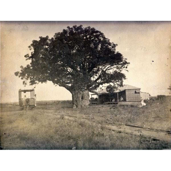 A cart with two men travelling along a track with two rails. There is a building and a tree with a thick trunk off to the right. 