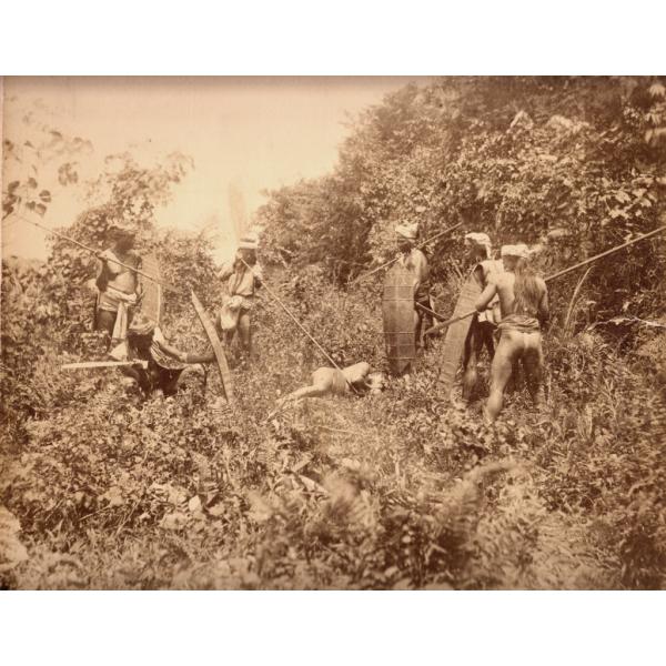 A photo of six Dayak men holding spears and shields, standing around a slain man in a patch of vegetation. They are wearing pieces of cloth around their waists and scarves around their heads. 