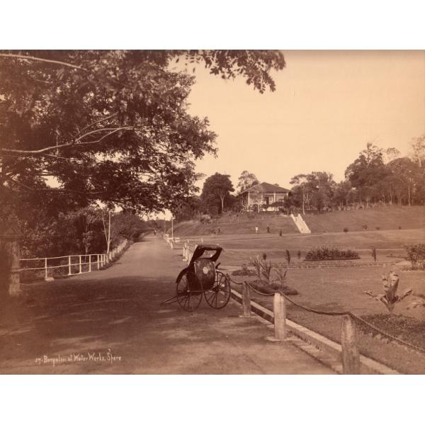 A photo of a bungalow up on a hill surrounded by trees. There is a cart sitting on the road adjacent to the property.  