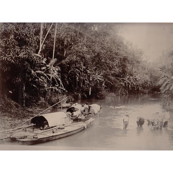 The Golden Creek, with river boats and a pair of cows pulling a barrel. 