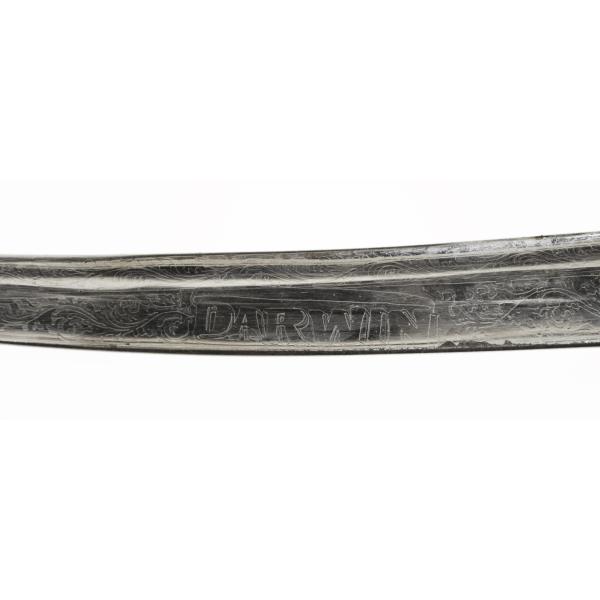 Close-up view of the name `Darwin` incised on the blade of the dagger. 