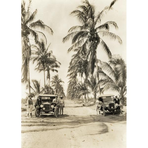 A photo of two cars parked on either side of a dirt road lined with palm trees. A group of men is leaning on each of the cars. 