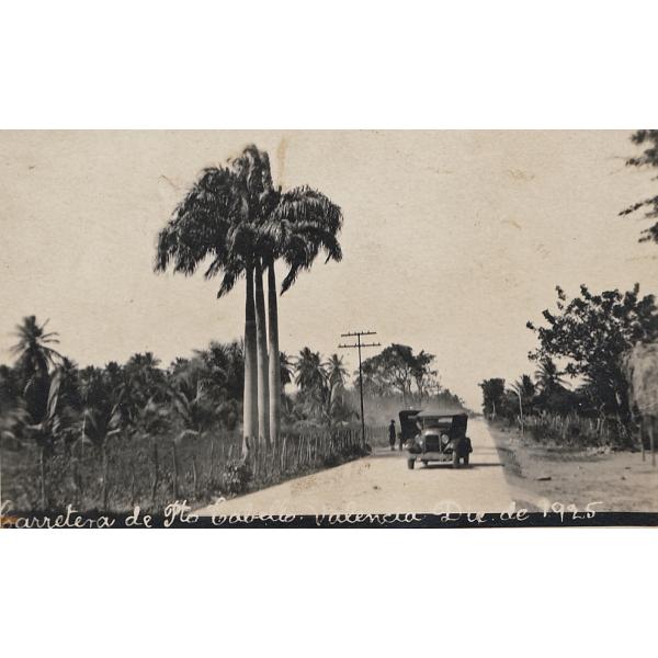 Two cars on a road. There is a fence to the left as well as three palm trees. There are more trees in the background. 