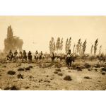 A group of men on horseback surrounding a group of horses. There are trees in the background and low vegetation in the foreground.