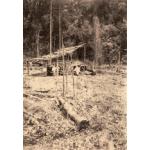 Une photo de deux ouvriers debout devant un puits surmonté d'un toit de chaume. On aperçoit un billot au premier plan et des arbres en arrière-plan. 