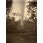 A photo of oil gushing out of a narrow pipe in a clearing. There are trees in the background.  