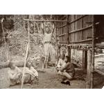  A group of five Sumatrans beside the base of a building on stilts. Four are sitting in the ground while the fifth does chin-ups on a makeshift wooden bar.