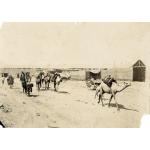 A group of camels with sacks on their backs, along with a few people, walking along a dirt road. There is a stone wall in the background.