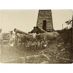 A photo of a group of workers in front of an oil rig covered in thatching. There are two oxen. One is attached to a cart with a piece of casing on it. There is a piece of casing hanging above the other ox, too.