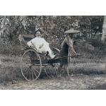 An International Driller wearing a hat and white suit in a rickshaw with two wheels being pulled by a local man. The man has a wide straw hat and a piece of fabric around his shoulders. The canopy of the rickshaw is closed. They are in front of trees.