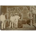 William McRae standing with two men, all in white suits, in front of three stretched tiger skins.  