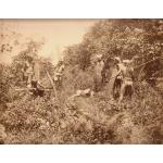 Une photo de six hommes Dayak tenant des lances et des boucliers, debout autour d'un homme tué dans un îlot de végétation. Ils portent des morceaux de tissu autour de la taille et des foulards autour de la tête