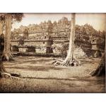 Les ruines d'un temple de pierre derrière des arbres aux racines apparentes. Le sommet du temple comporte plusieurs tours.