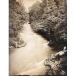 A river winding between trees, with a group of people sitting on a small point that juts out into the water.  