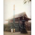 Une photo de deux personnes japonaises vêtues de vêtements traditionnels, debout devant un temple. Des cerisiers sont en fleurs derrière un mur de pierre et à droite de l'image. La photo a été teintée de roses, jaunes, bleus et verts.