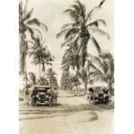 A photo of two cars parked on either side of a dirt road lined with palm trees. A group of men is leaning on each of the cars. 