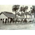 A photo of seven International Drillers lined up on horses facing right. They are wearing pith helmets. There is a buildings with large tiles in the background, and a group of palm trees.