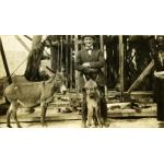 A photo of a man wearing a dark suit standing behind a baby donkey. An adult donkey stands to the left. There is an oil rig with metal and wood supports behind them.