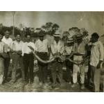 Nine men in light-coloured shirts. The five on the right are holding a snake stretched between them. There are trees in the background.