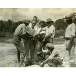 Six men in white shirts holding a dead bear while another man looks on. There are trees and two wooden poles standing in the background.