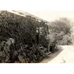 Une photo de George Rawlings portant un complet et un casque colonial, sur les marches d’une maison recouverte de vignes. 