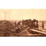 A group of men moving a piece of pipe into a dug ditch with pieces of wood and hammers. There are hydro poles off to the left.