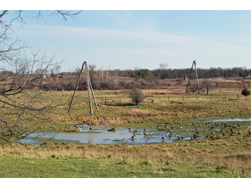 Two three-pole derricks beside a creek. There are Canadian geese in the water of the creek. There are trees in the background.