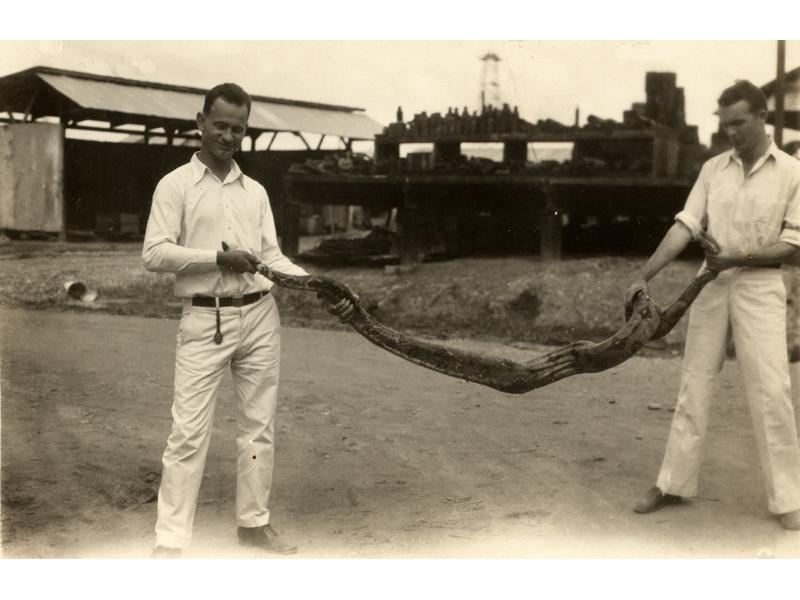 Irwin and Lovelady holding a boa constrictor in between them. They are standing on a dirt road and there are buildings behind them. They are wearing white shifts and pants.
