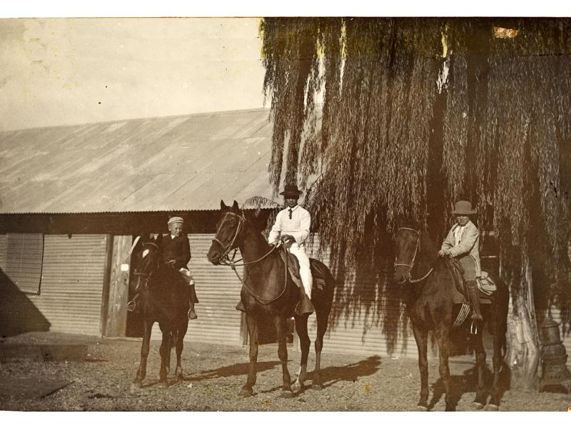 A photo of two boys on horses with a man in the middle riding a horse. There is a building covered in metal siding and roofing behind them, as well as a tree with long, hanging branches.